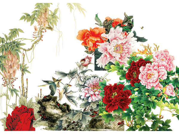 國色天香，優(yōu)雅綻放 解析《牡丹花》PNG免摳圖素材的藝術價值與應用場景