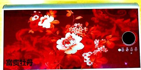 攜手順太樂，共贏綠色未來 誠(chéng)征節(jié)能健康環(huán)保電熱兩用熱水器代理經(jīng)銷商