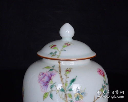 清雍正粉彩花鳥牡丹紋蓋罐一對(duì) 芍藥精品撿漏記