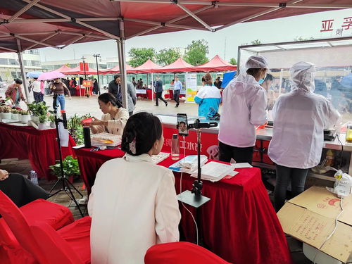 壽縣豐收節(jié)盛典 農(nóng)產(chǎn)品展銷助力鄉(xiāng)村振興