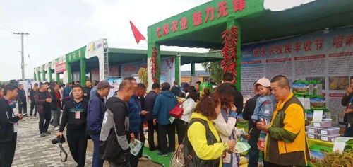 烏拉特前旗第三屆中國農(nóng)民豐收節(jié)慶祝活動食品銷售盛況
