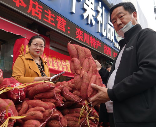 民建洛陽市委西工總支與洛陽中小企業(yè)家協(xié)會攜手開展愛心助農(nóng)活動，助力農(nóng)副產(chǎn)品銷售