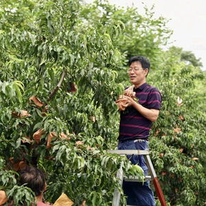 西安市雁塔區(qū)助銷農(nóng)副產(chǎn)品 以食品銷售推動鄉(xiāng)村振興