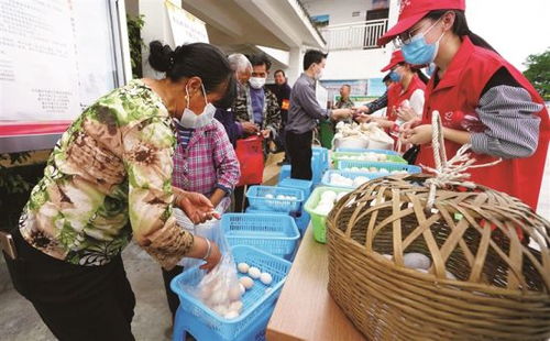 黨員上門認(rèn)購 綦江農(nóng)副產(chǎn)品滯銷的暖心解法