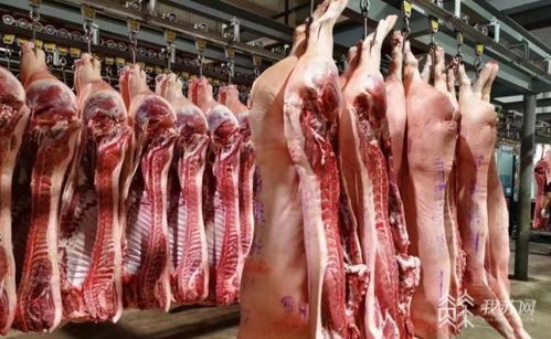 農(nóng)副產(chǎn)品貨源充足銷售火爆 蘇州市民冬至餐桌豐盛